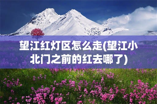 望江红灯区怎么走(望江小北门之前的红去哪了)
