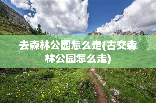 去森林公园怎么走(古交森林公园怎么走)