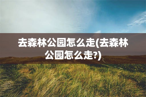 去森林公园怎么走(去森林公园怎么走?)