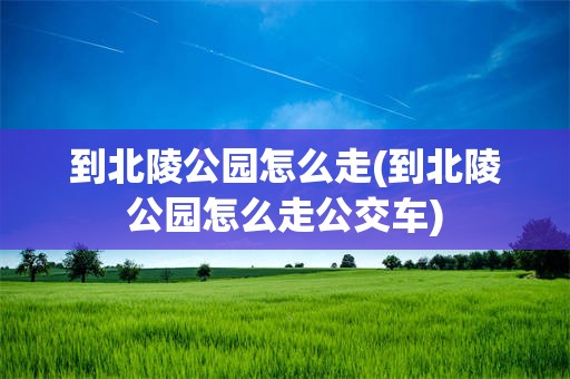 到北陵公园怎么走(到北陵公园怎么走公交车)