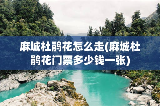 麻城杜鹃花怎么走(麻城杜鹃花门票多少钱一张)
