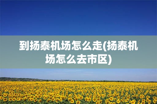 到扬泰机场怎么走(扬泰机场怎么去市区)