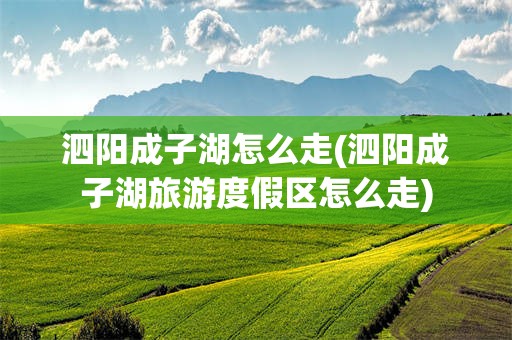 泗阳成子湖怎么走(泗阳成子湖旅游度假区怎么走)