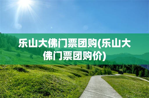 乐山大佛门票团购(乐山大佛门票团购价)