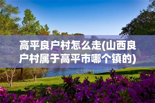 高平良户村怎么走(山西良户村属于高平市哪个镇的)