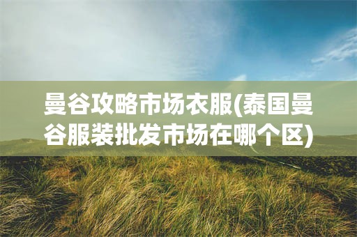 曼谷攻略市场衣服(泰国曼谷服装批发市场在哪个区)