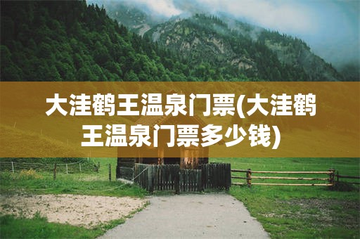 大洼鹤王温泉门票(大洼鹤王温泉门票多少钱)