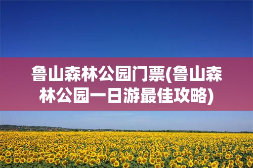 鲁山森林公园门票(鲁山森林公园一日游最佳攻略)