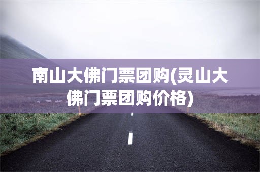 南山大佛门票团购(灵山大佛门票团购价格)