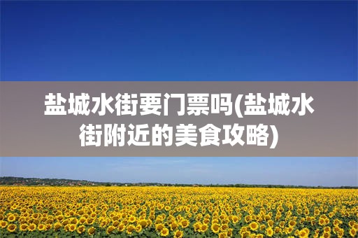 盐城水街要门票吗(盐城水街附近的美食攻略)