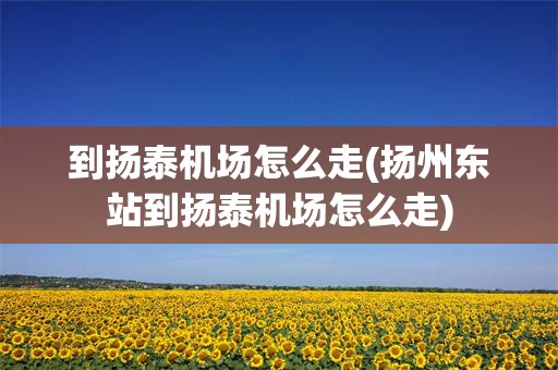 到扬泰机场怎么走(扬州东站到扬泰机场怎么走)