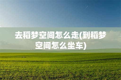 去稻梦空间怎么走(到稻梦空间怎么坐车)