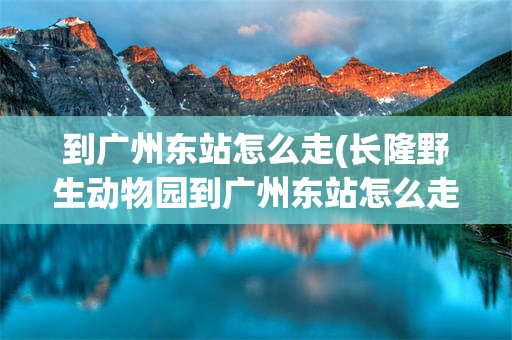 到广州东站怎么走(长隆野生动物园到广州东站怎么走)