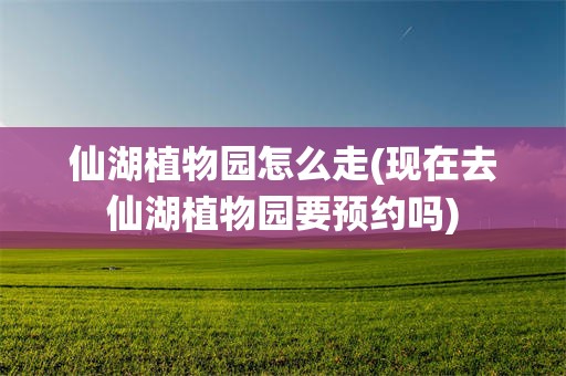 仙湖植物园怎么走(现在去仙湖植物园要预约吗)