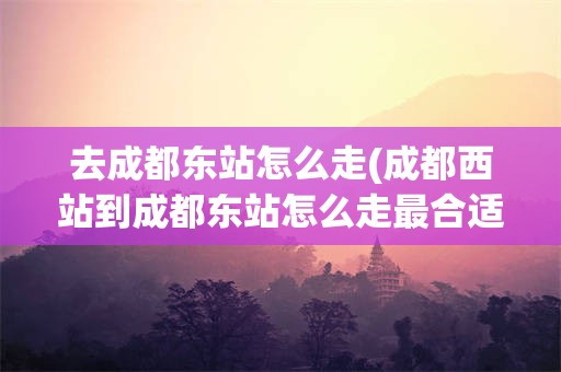 去成都东站怎么走(成都西站到成都东站怎么走最合适)