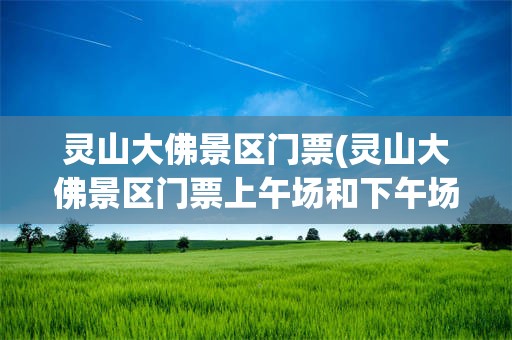 灵山大佛景区门票(灵山大佛景区门票上午场和下午场的区别)