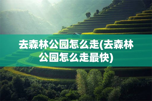 去森林公园怎么走(去森林公园怎么走最快)