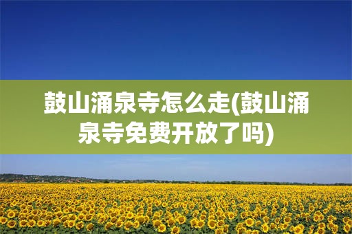 鼓山涌泉寺怎么走(鼓山涌泉寺免费开放了吗)