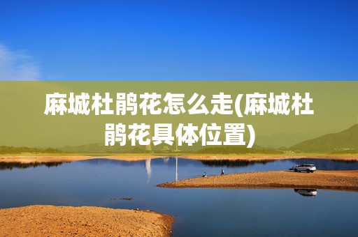 麻城杜鹃花怎么走(麻城杜鹃花具体位置)