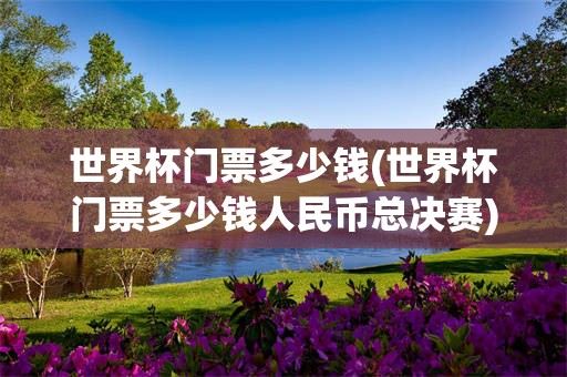 世界杯门票多少钱(世界杯门票多少钱人民币总决赛)
