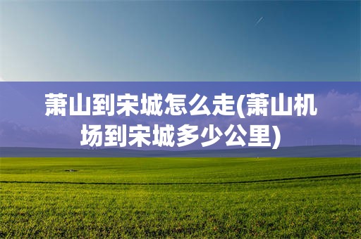 萧山到宋城怎么走(萧山机场到宋城多少公里)