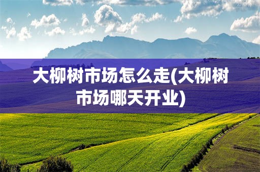 大柳树市场怎么走(大柳树市场哪天开业)
