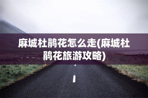 麻城杜鹃花怎么走(麻城杜鹃花旅游攻略)
