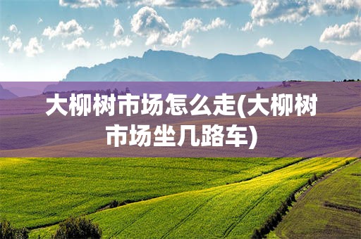 大柳树市场怎么走(大柳树市场坐几路车)