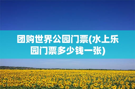 团购世界公园门票(水上乐园门票多少钱一张)