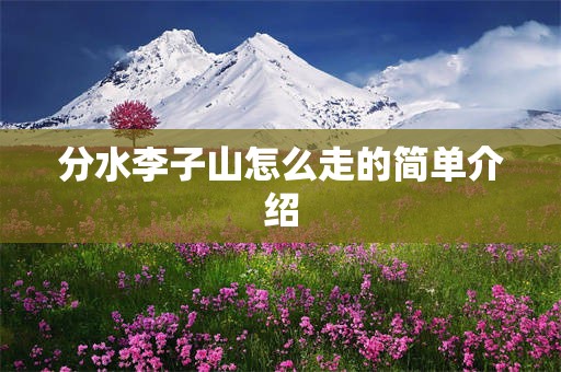 分水李子山怎么走的简单介绍