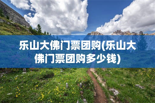 乐山大佛门票团购(乐山大佛门票团购多少钱)