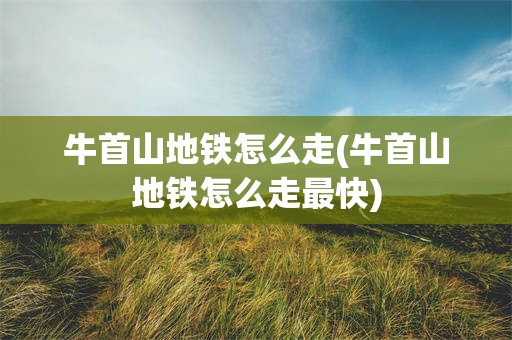 牛首山地铁怎么走(牛首山地铁怎么走最快)