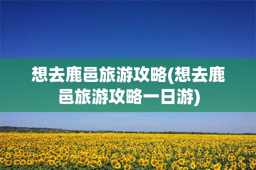 想去鹿邑旅游攻略(想去鹿邑旅游攻略一日游)