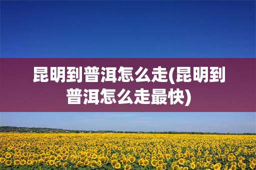 昆明到普洱怎么走(昆明到普洱怎么走最快)