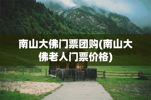 南山大佛门票团购(南山大佛老人门票价格)