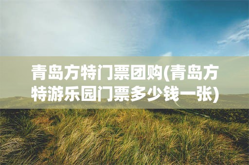 青岛方特门票团购(青岛方特游乐园门票多少钱一张)