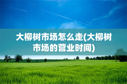 大柳树市场怎么走(大柳树市场的营业时间)