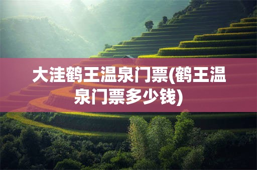 大洼鹤王温泉门票(鹤王温泉门票多少钱)