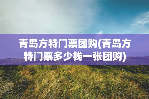 青岛方特门票团购(青岛方特门票多少钱一张团购)