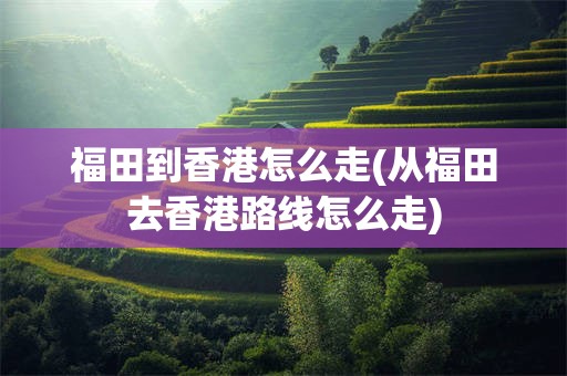 福田到香港怎么走(从福田去香港路线怎么走)