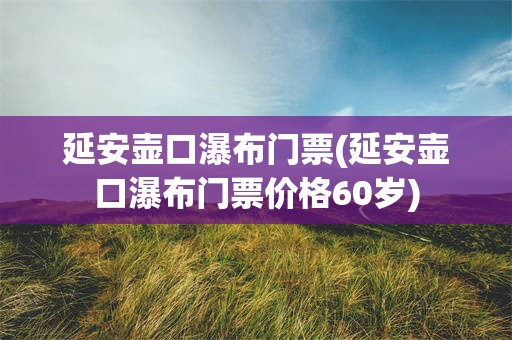 延安壶口瀑布门票(延安壶口瀑布门票价格60岁)
