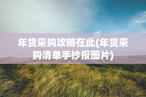 年货采购攻略在此(年货采购清单手抄报图片)