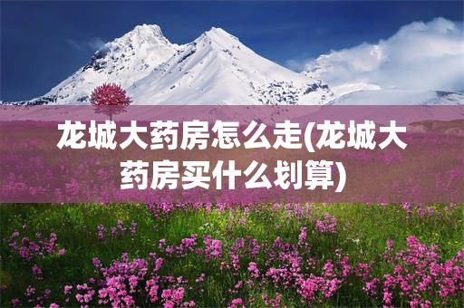 龙城大药房怎么走(龙城大药房买什么划算)