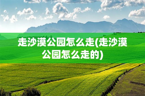 走沙漠公园怎么走(走沙漠公园怎么走的)