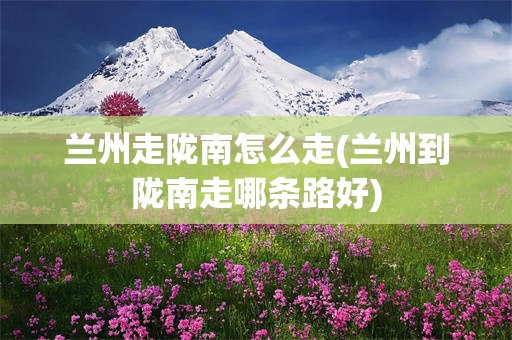 兰州走陇南怎么走(兰州到陇南走哪条路好)