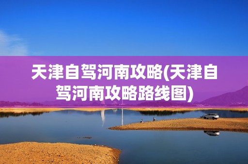 天津自驾河南攻略(天津自驾河南攻略路线图)