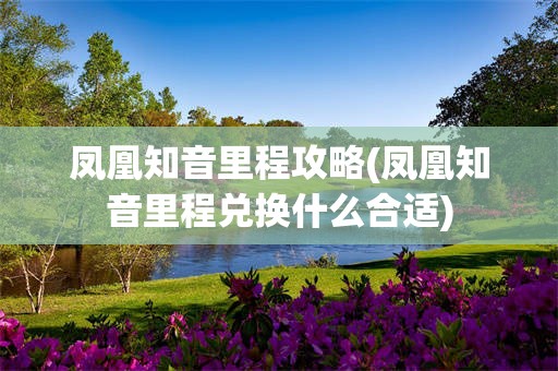 凤凰知音里程攻略(凤凰知音里程兑换什么合适)