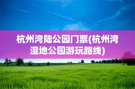 杭州湾陆公园门票(杭州湾湿地公园游玩路线)