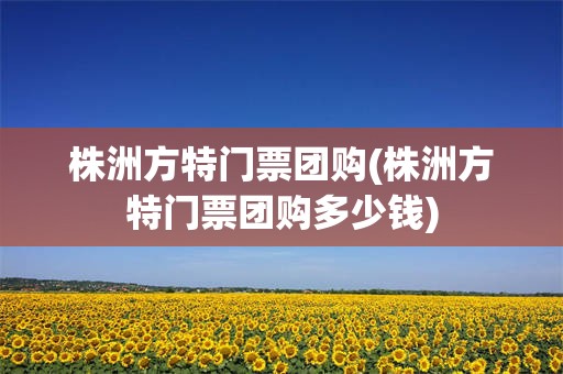 株洲方特门票团购(株洲方特门票团购多少钱)