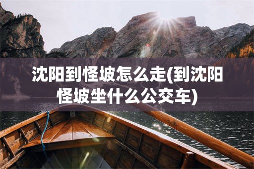 沈阳到怪坡怎么走(到沈阳怪坡坐什么公交车)
